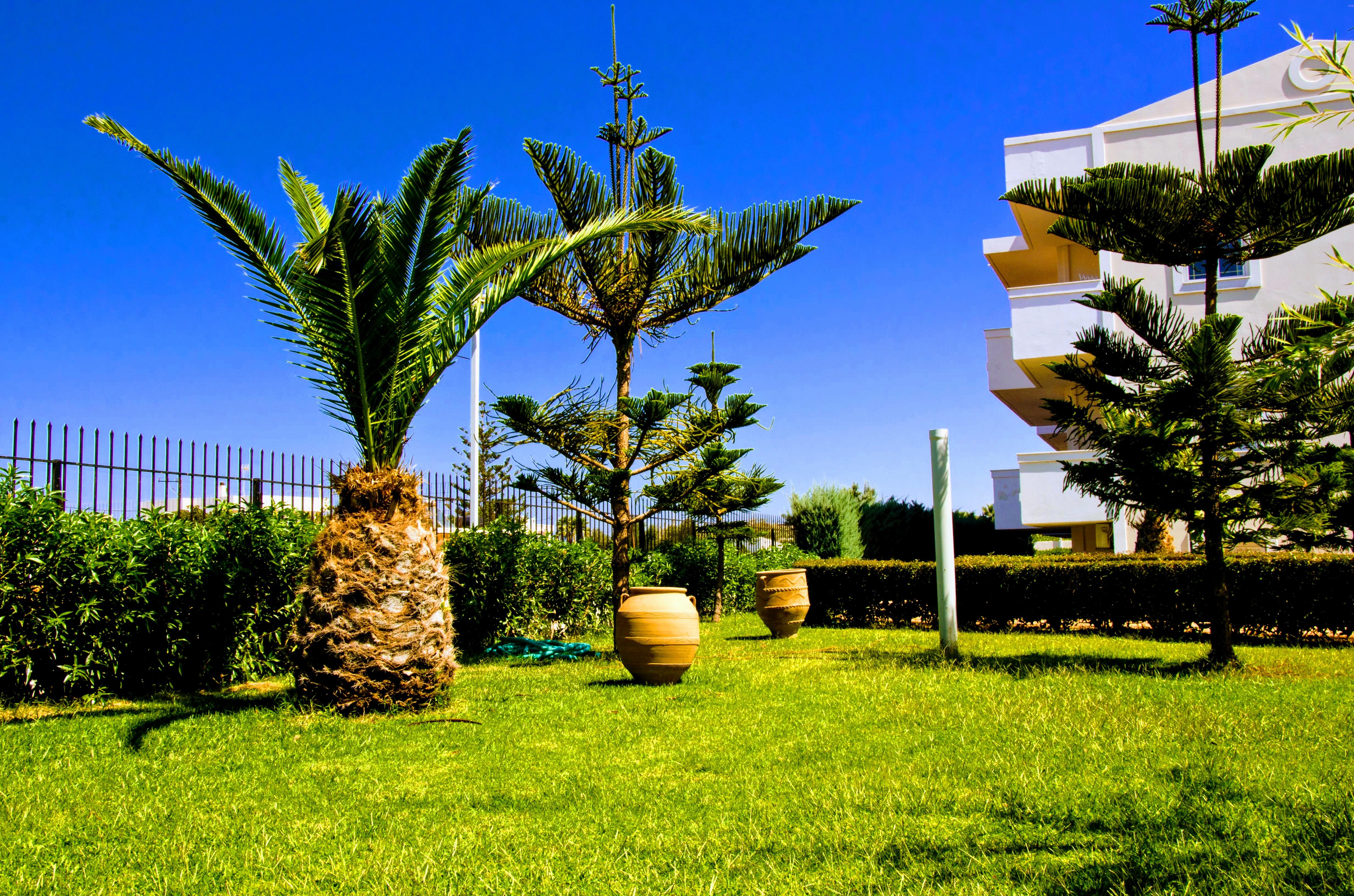 Yiannis Manos Hotel Resort Malia Extérieur photo