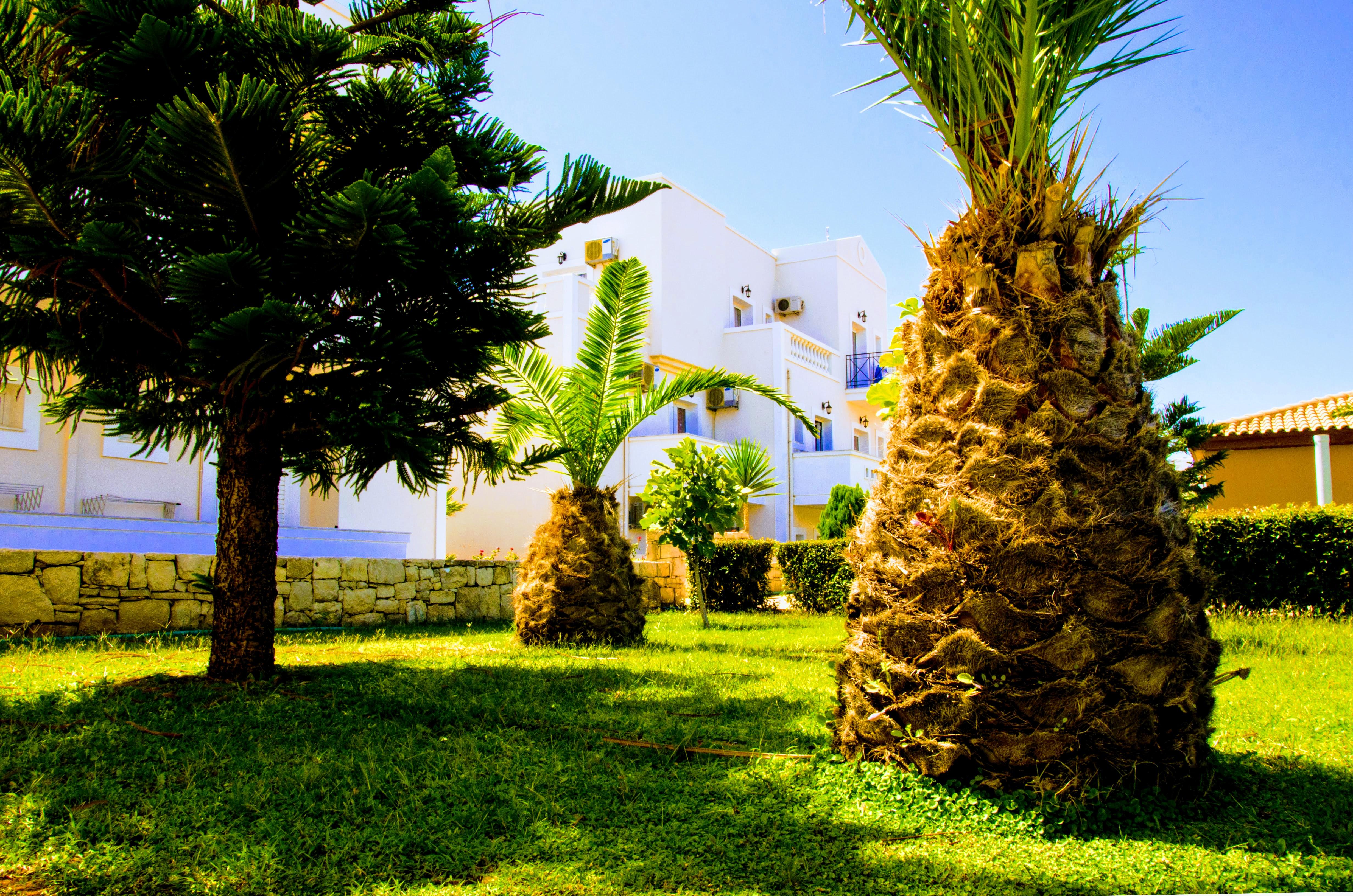 Yiannis Manos Hotel Resort Malia Extérieur photo