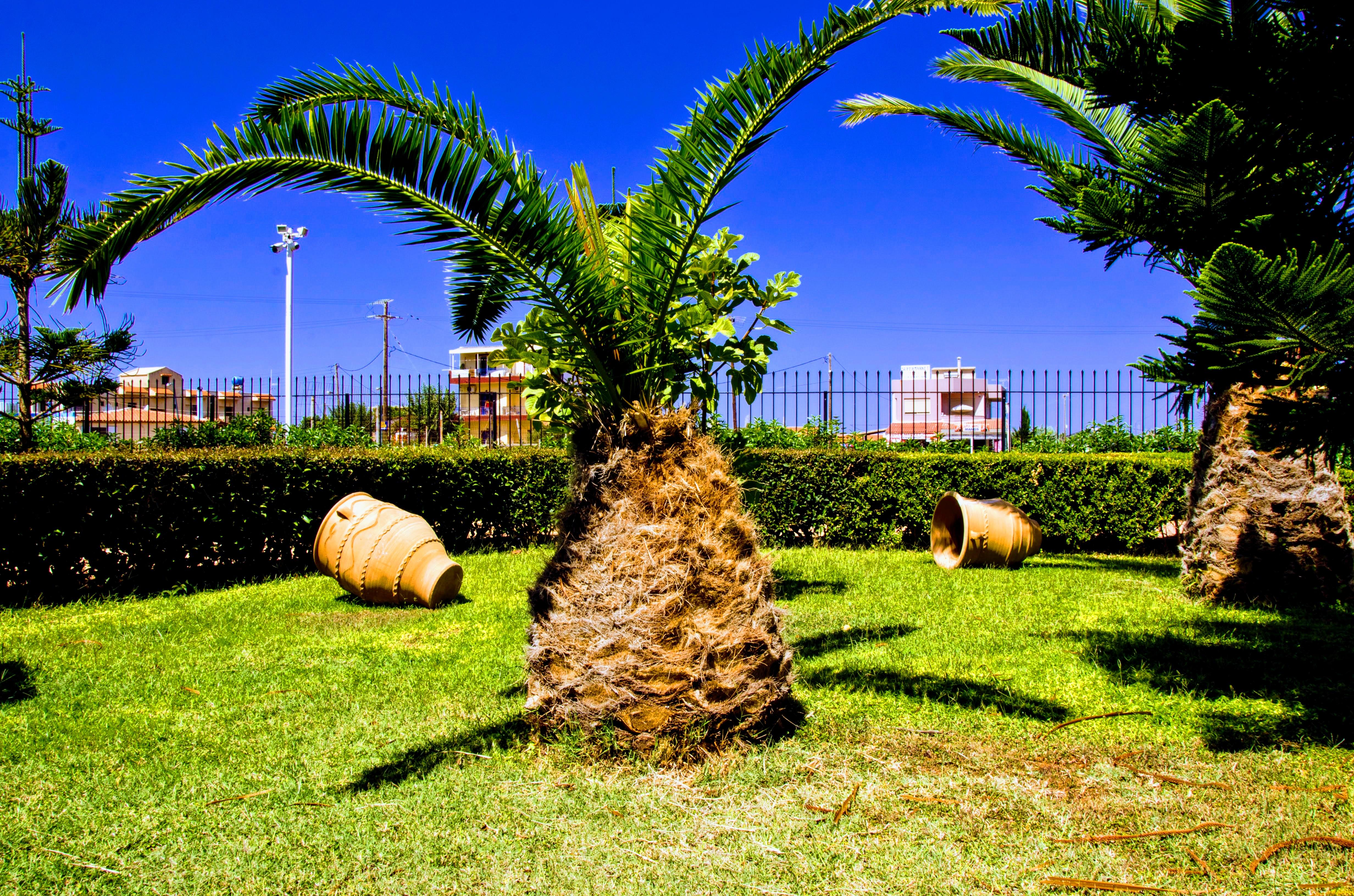 Yiannis Manos Hotel Resort Malia Extérieur photo
